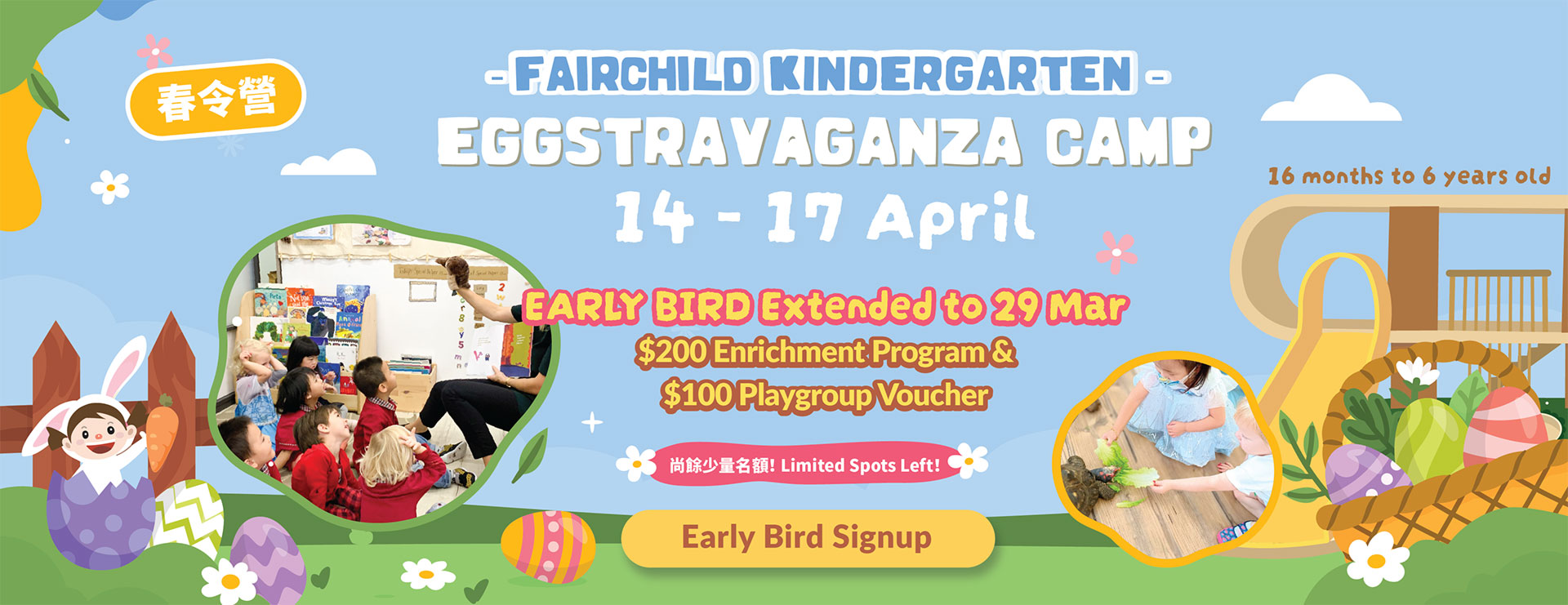 Eggstravaganza Camp